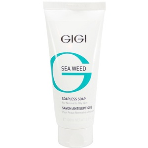 GIGI Sea Weed Soapless soap Мыло жидкое непенящееся 100 мл