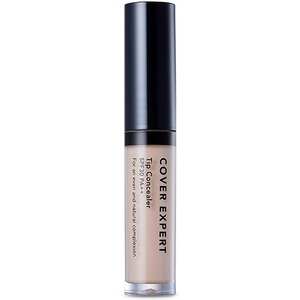 SPF PA  Vprove Cover Expert Tip Concealer SPF PA