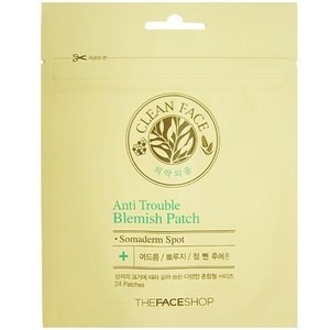 The Face Shop Anti Trouble Blemish Patch
