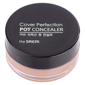 The Saem Cover Perfection Pot Concealer