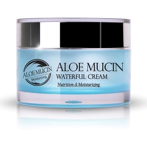 The Skin House Aloe Mucin Waterful Cream