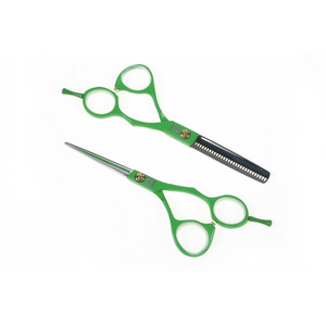 DEWAL PROFESSIONAL Набор парикмахерских ножниц 5,5, зеленые в черном чехле, 2 шт