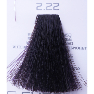 HAIR COMPANY 2.22 краска для волос / HAIR LIGHT CREMA COLORANTE 100 мл