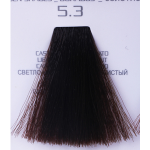 HAIR COMPANY 5.3 краска для волос / HAIR LIGHT CREMA COLORANTE 100 мл