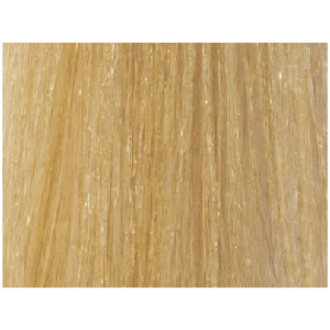 LISAP MILANO 10/3 краска для волос, очень светлый блондин золотистый плюс / LK OIL PROTECTION COMPLEX 100 мл