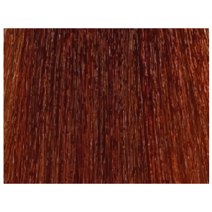 LISAP MILANO 6/4 краска для волос, темный блондин махагоновый / LK OIL PROTECTION COMPLEX 100 мл