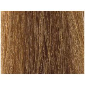 LISAP MILANO 8/3 краска для волос, светлый блондин золотистый / LK OIL PROTECTION COMPLEX 100 мл