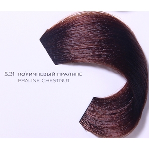 LOREAL PROFESSIONNEL 5.31 краска для волос / ДИАРИШЕСС 50 мл