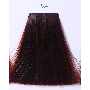 LOREAL PROFESSIONNEL 5.4 краска для волос / ИНОА ODS2 60 г